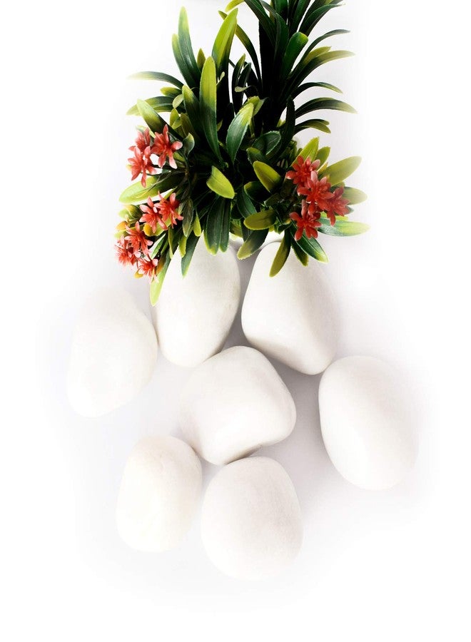 Ercole® Decorative Coloured Large Size Marble Stone Pebbles for Vase Filler Plant Pots Home Aquarium Fish Tanks Landscape Outdoor Garden Decoration (White, 1Kg) - Image 5